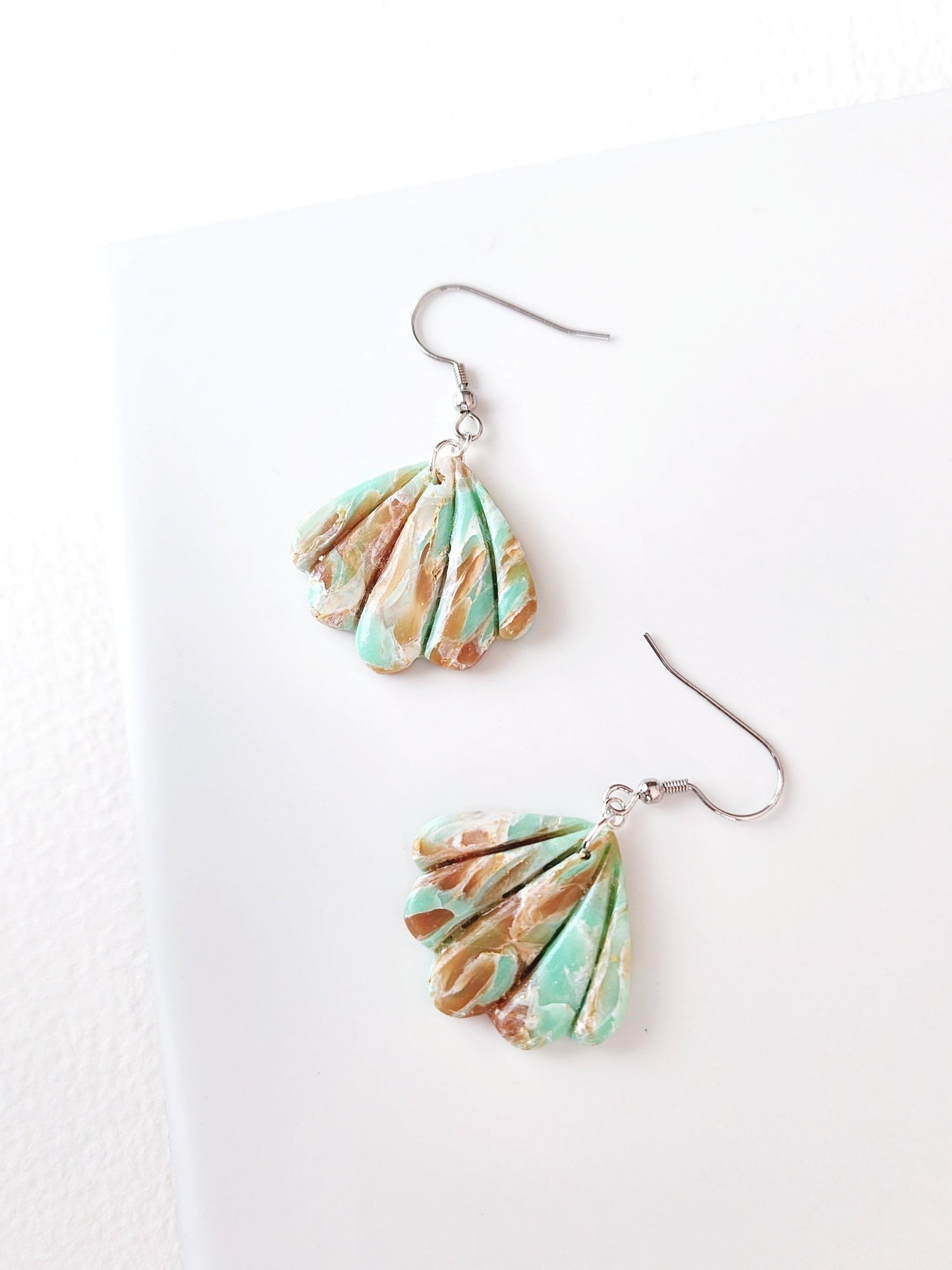 Marbled Scallop Shells