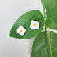 Sunny Side Up Eggie（鉚釘+戒指）