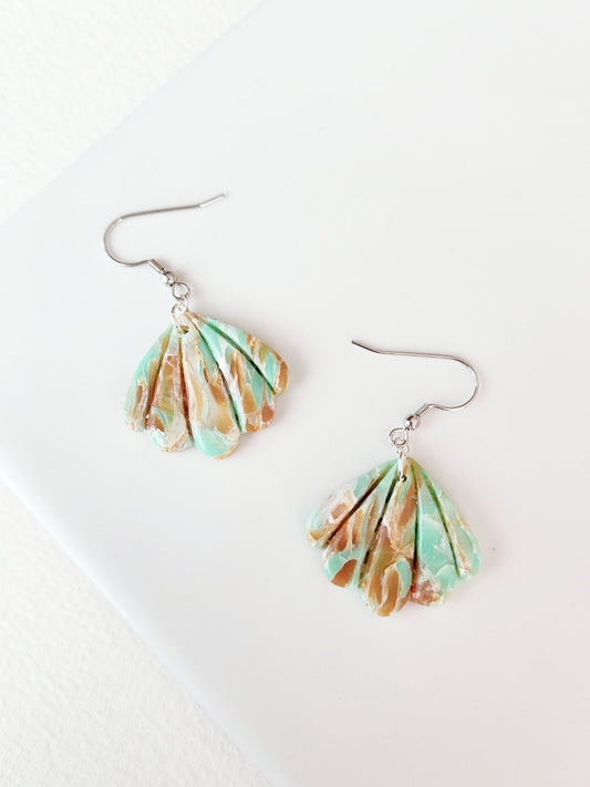 Marbled Scallop Shells