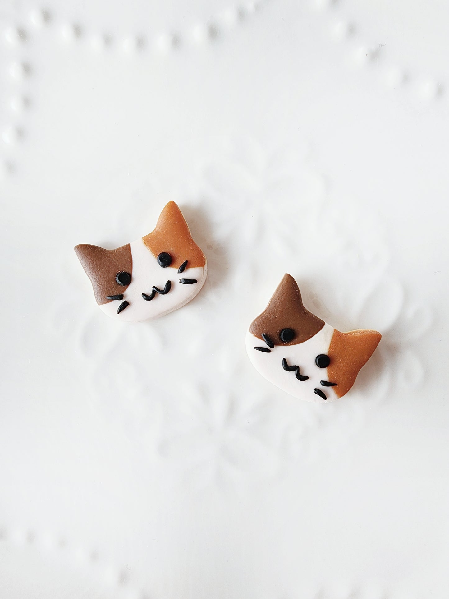 Calico Cat